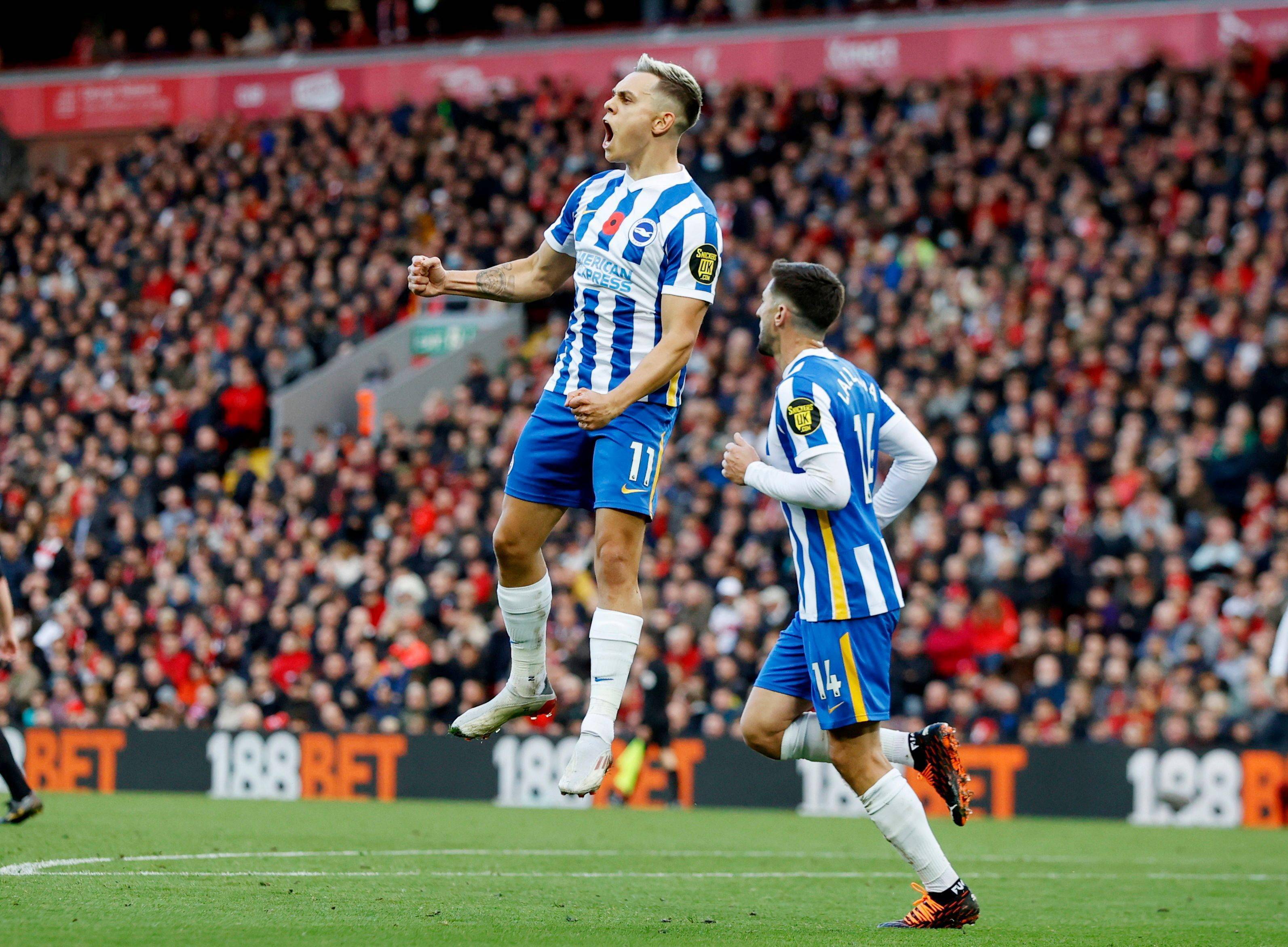 多点开花 多点开花