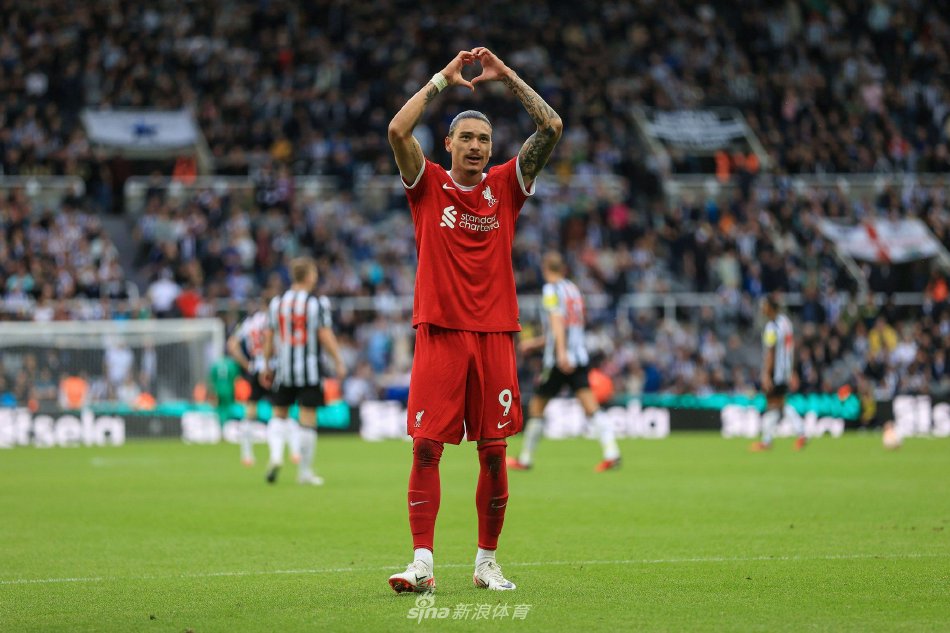 山东队战胜 山东队战胜